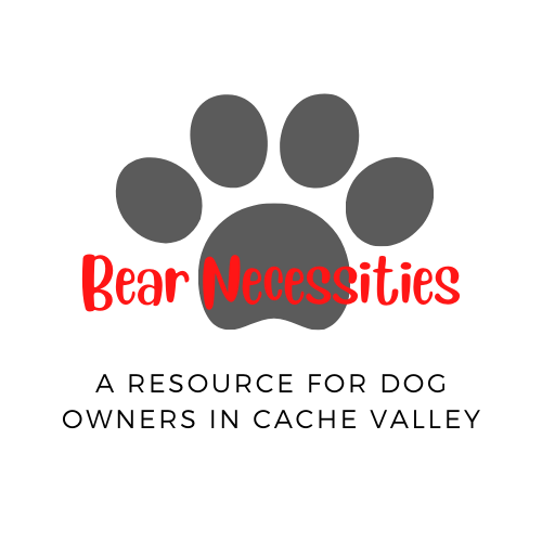 Bear Necessities Logo