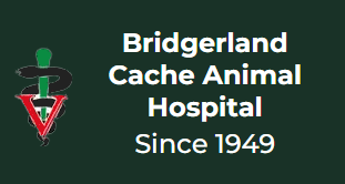 Bridgerland Cache Animal Hospital