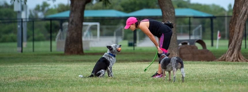 Lady and Dog